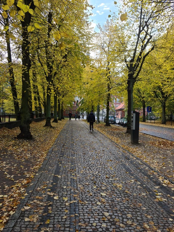 Gdańsk Wrzeszcz Politechnika Gdańska. Foto: Katarzyna Rojek